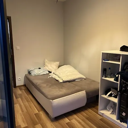Modern Nest