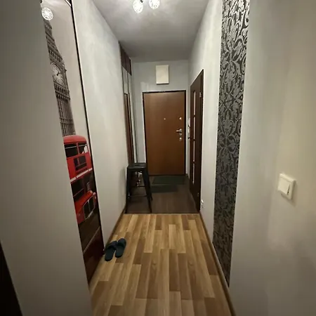 Modern Nest