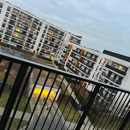 Modern Nest