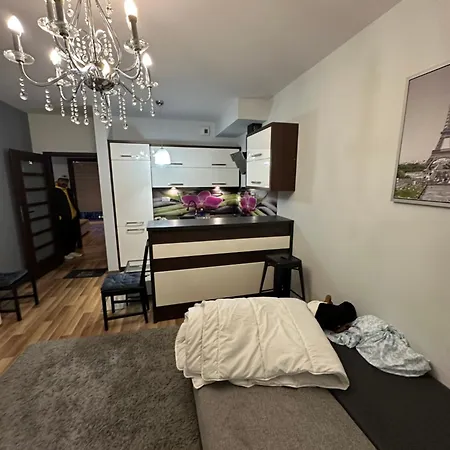 Modern Nest * Warsaw