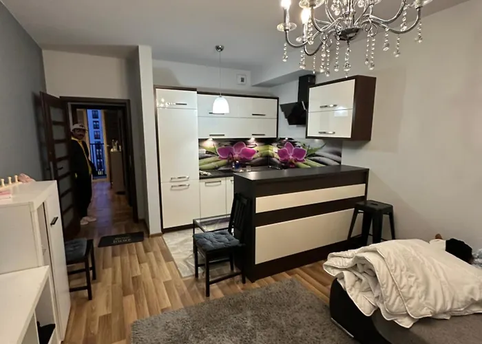 Apartment Modern Nest